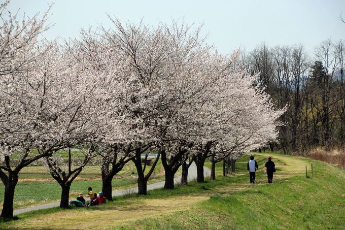 定年後の田舎暮らし移住先はどこがいい 移住者お勧め人気の岡山県の魅力をさぐる 井戸端会議で花咲かせ