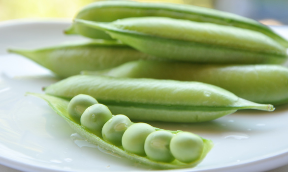 豆ご飯のうすいえんどうの栄養価やしわしわにならない豆の茹で方と保存方法 井戸端会議で花咲かせ