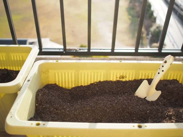 連作障害を避ける為のプランター菜園での土の再利用は簡単 井戸端会議で花咲かせ
