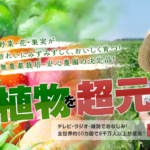 <span class="title">植物に栄養を与え花と野菜の成長を促進するHB-101の即効性</span>